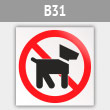 Знак «Выгул собак запрещен», B31 (металл, 200х200 мм)